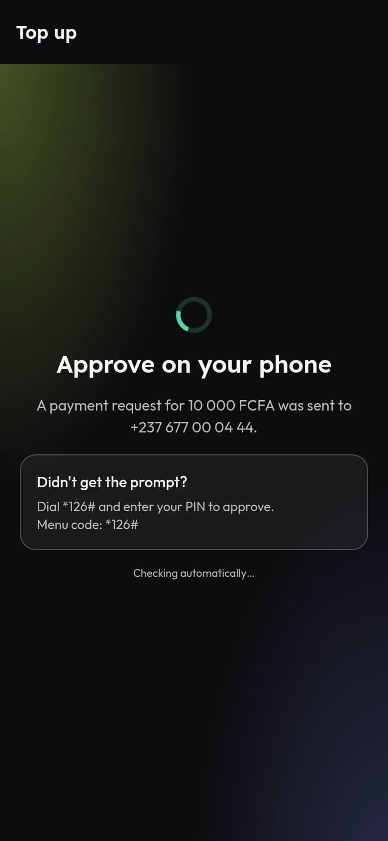Screen asking you to approve the payment on your phone